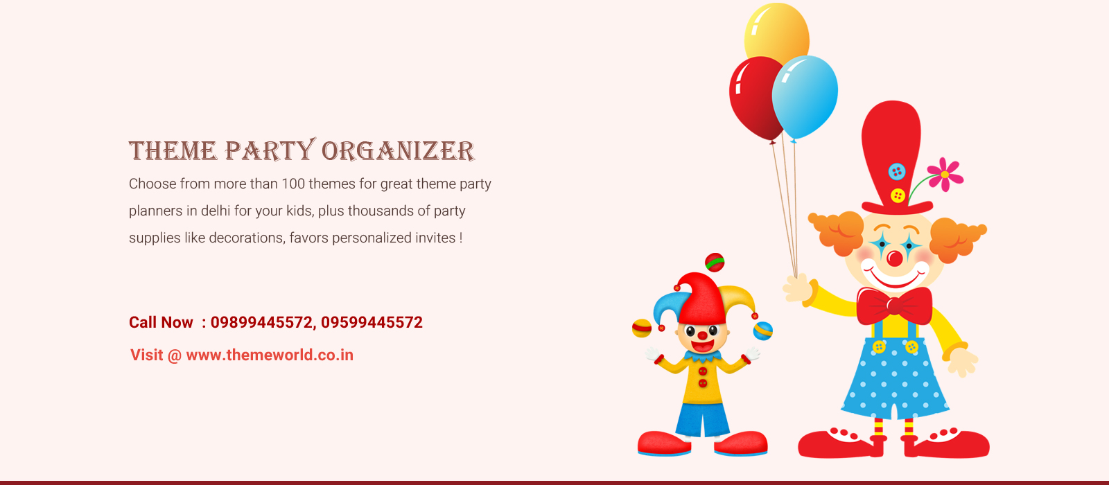 Theme Party Organizer